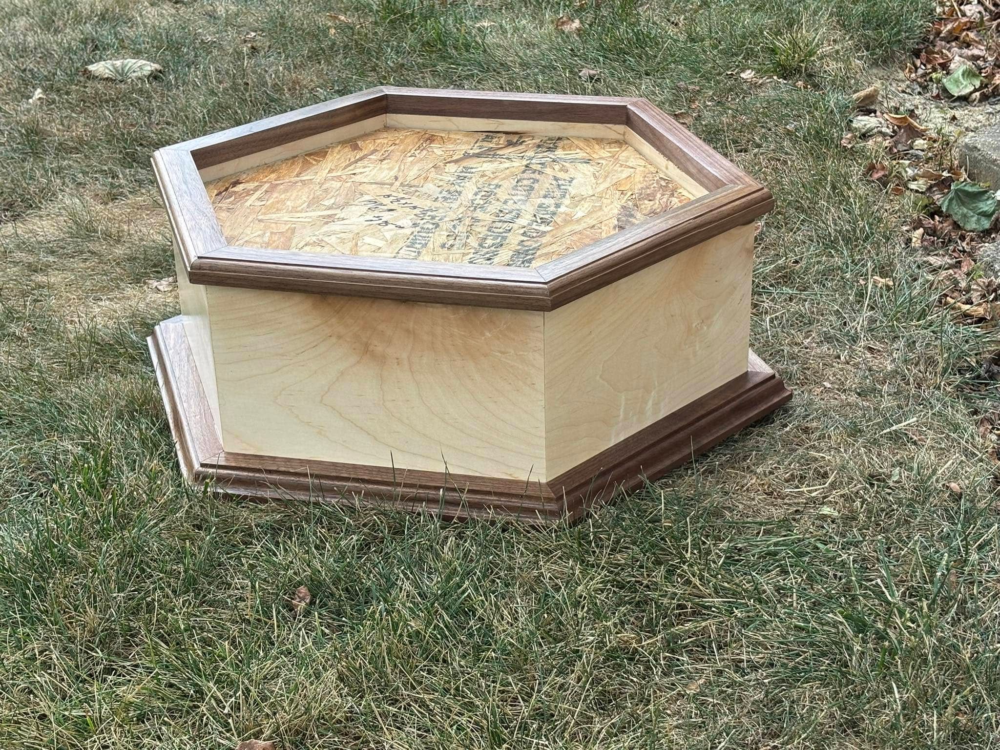 Custom taxidermy display