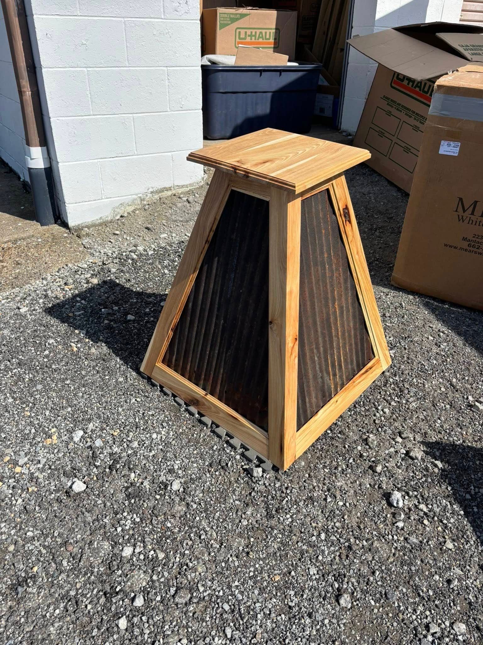 Custom taxidermy display