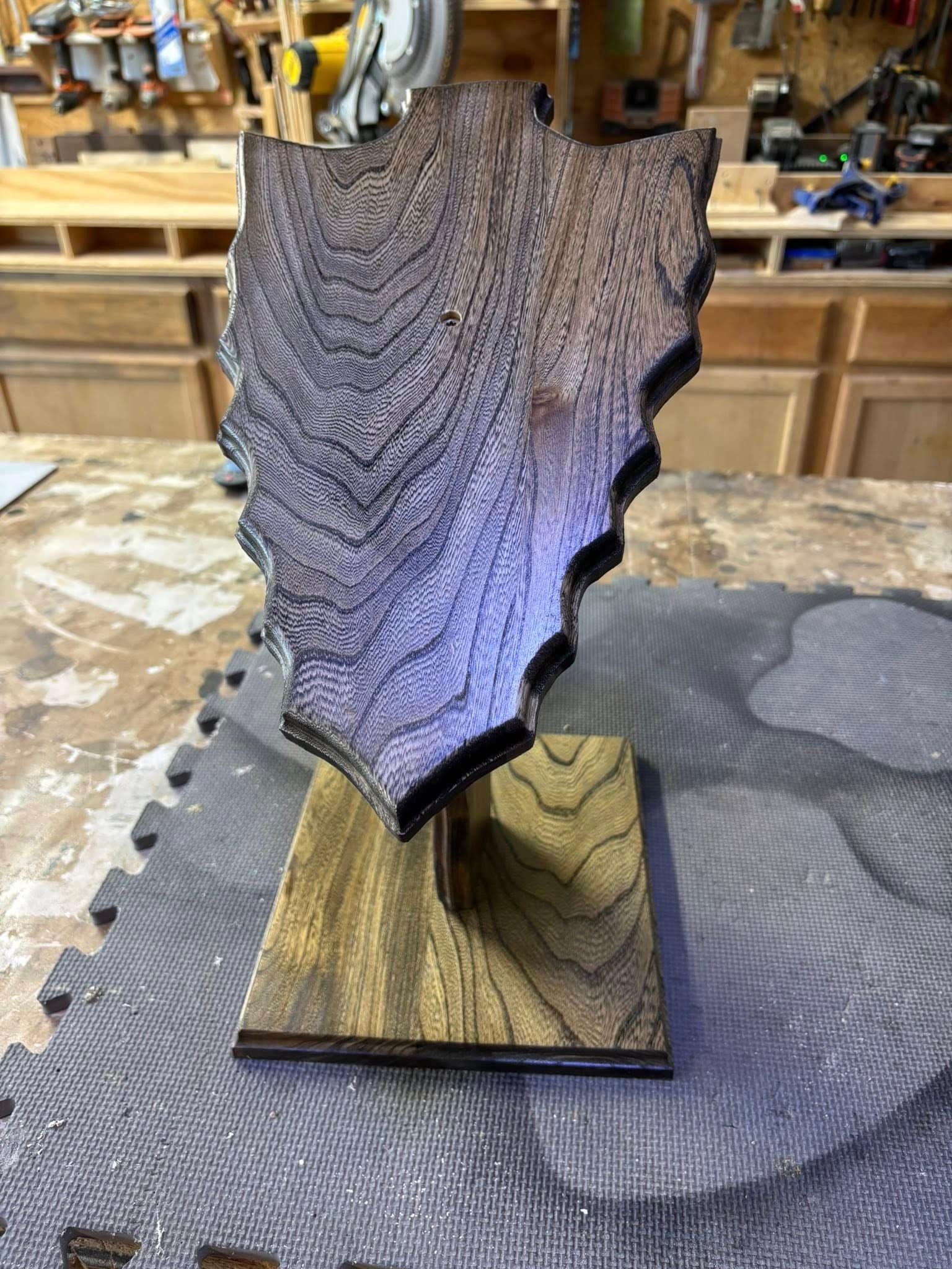 Custom taxidermy display