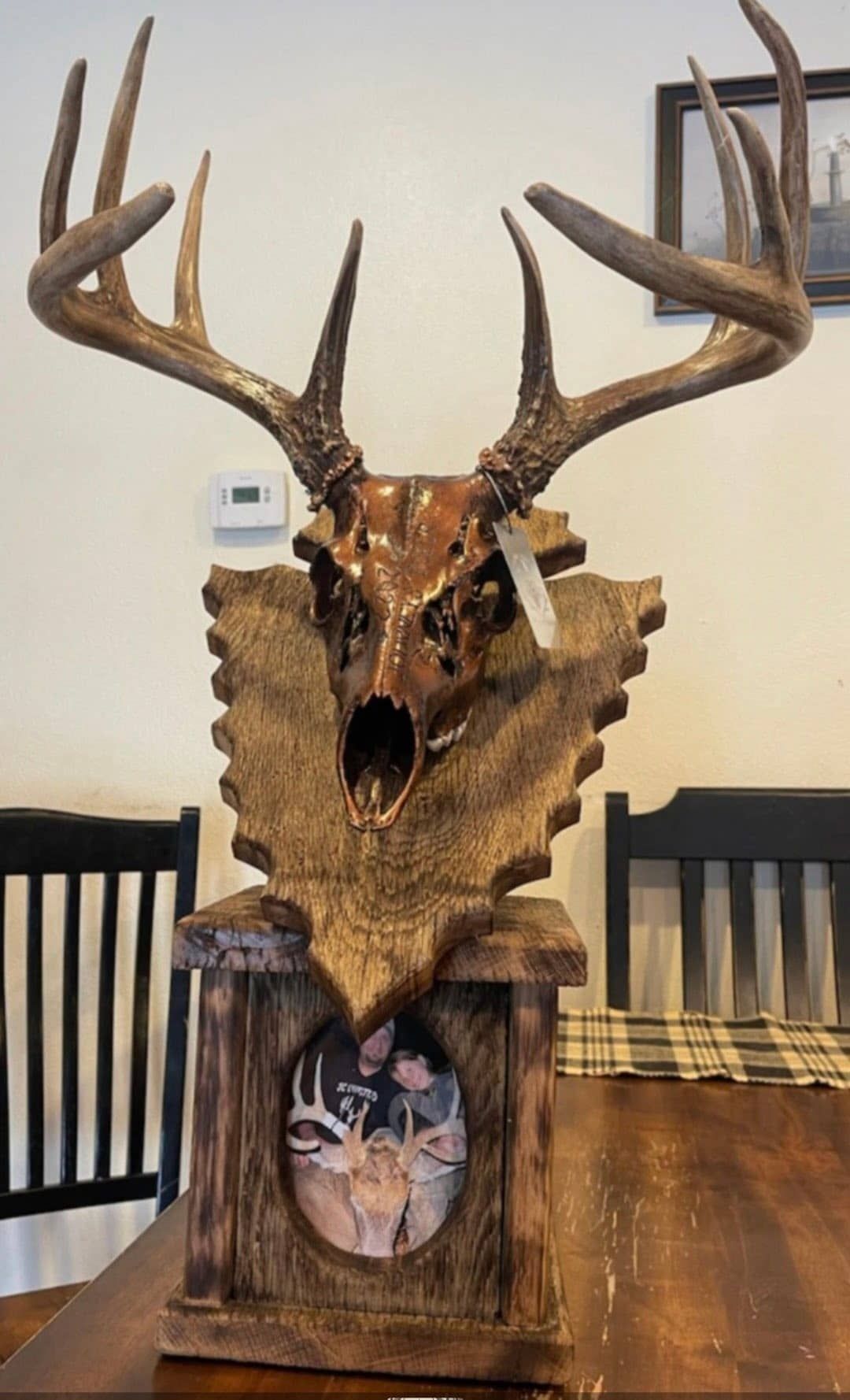 Custom taxidermy display