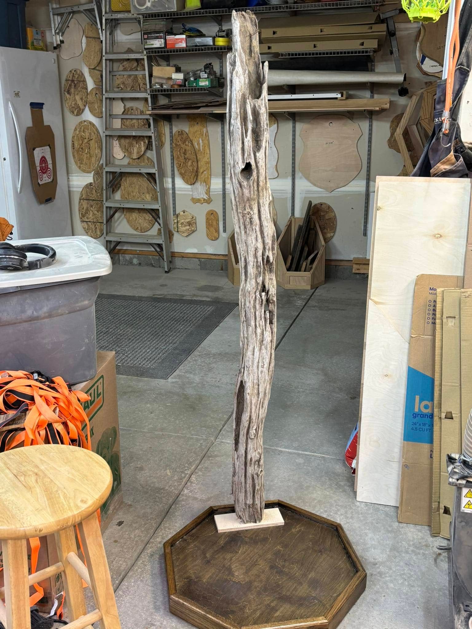 Custom taxidermy display