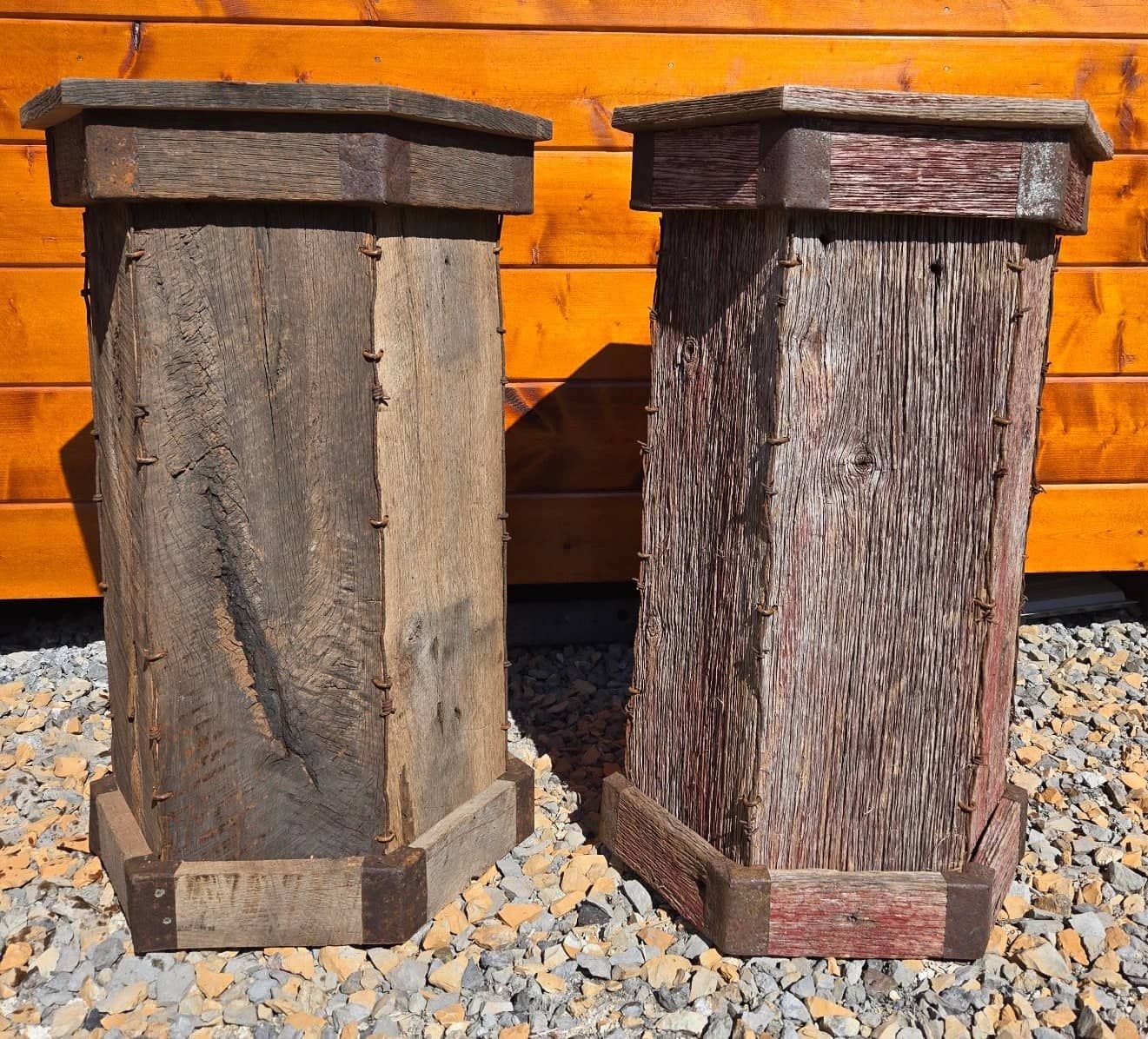 Custom taxidermy display