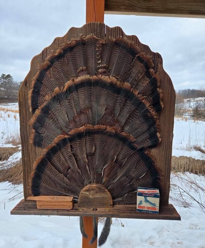 Custom taxidermy display